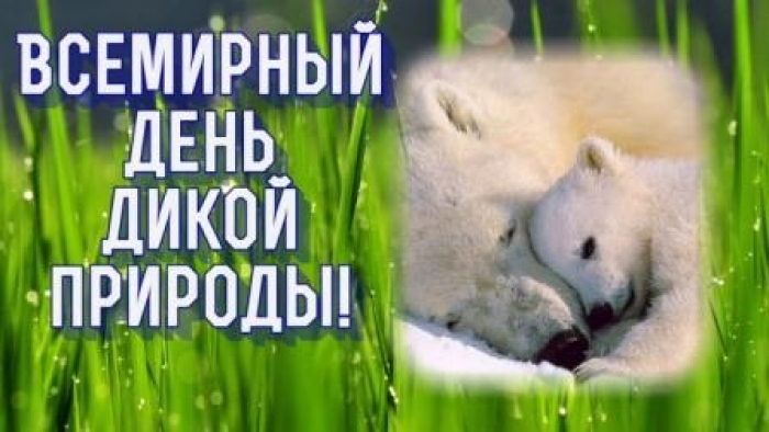 Итоги всероссийского конкурса творческих работ, посвященных Всемирному дню дикой природы 